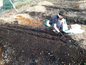 These peas ain't growin' themselves! Lend Marshall a hand!